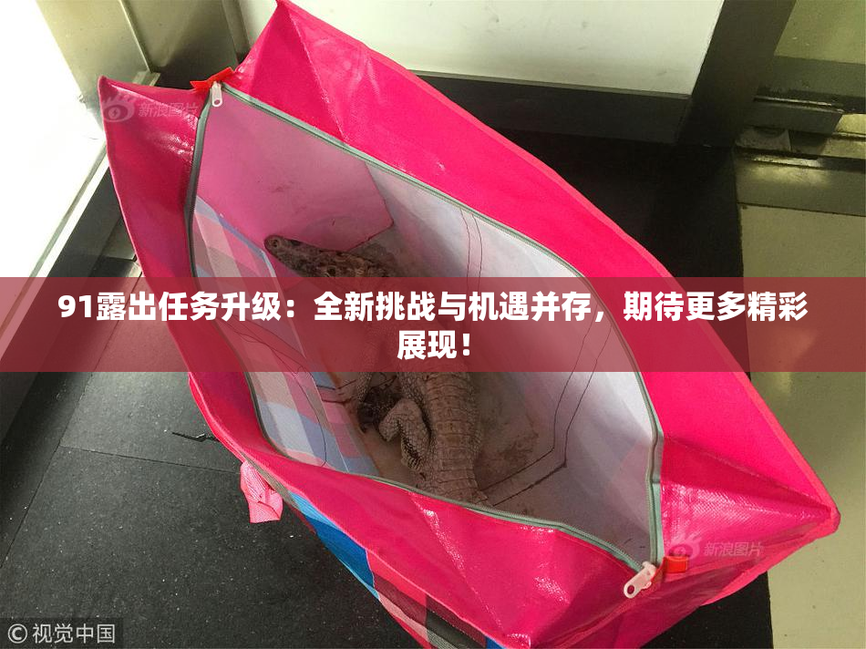 91露出任务升级：全新挑战与机遇并存，期待更多精彩展现！