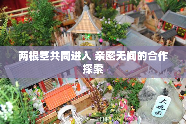 两根茎共同进入 亲密无间的合作探索
