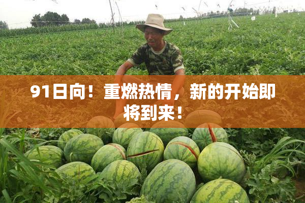 91日向！重燃热情，新的开始即将到来！