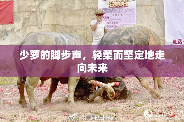 少萝的脚步声，轻柔而坚定地走向未来