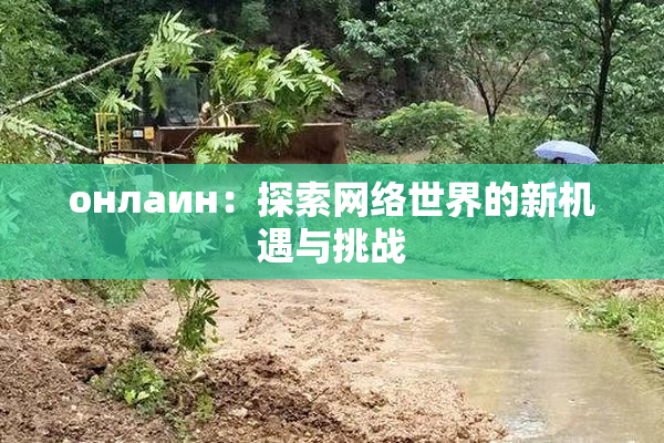 онлаин：探索网络世界的新机遇与挑战