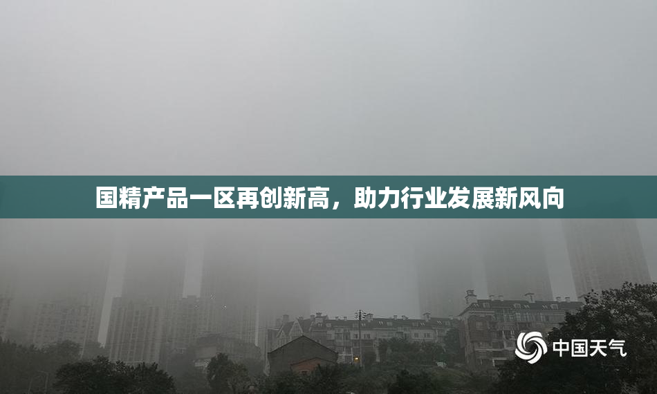 国精产品一区再创新高，助力行业发展新风向