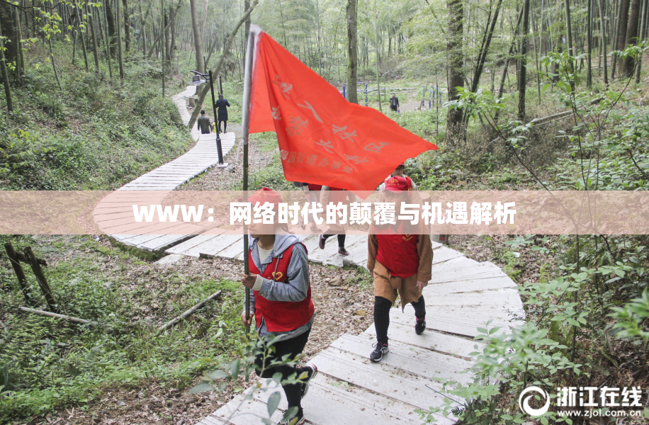 WWW：网络时代的颠覆与机遇解析