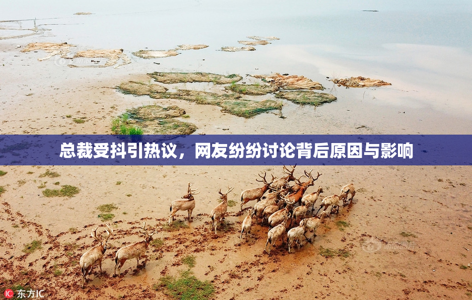 总裁受抖引热议，网友纷纷讨论背后原因与影响