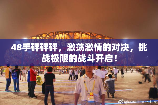 48手砰砰砰，激荡激情的对决，挑战极限的战斗开启！