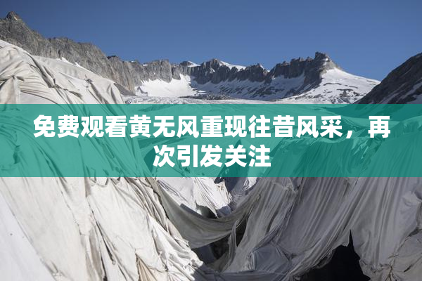 免费观看黄无风重现往昔风采，再次引发关注