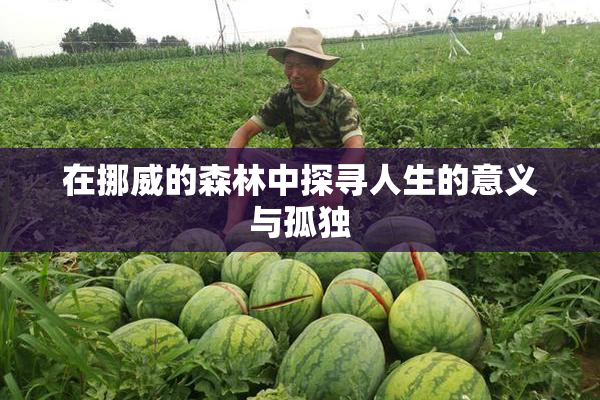在挪威的森林中探寻人生的意义与孤独
