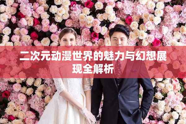 二次元动漫世界的魅力与幻想展现全解析