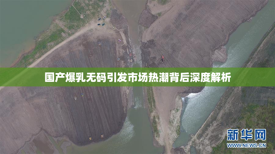 国产爆乳无码引发市场热潮背后深度解析