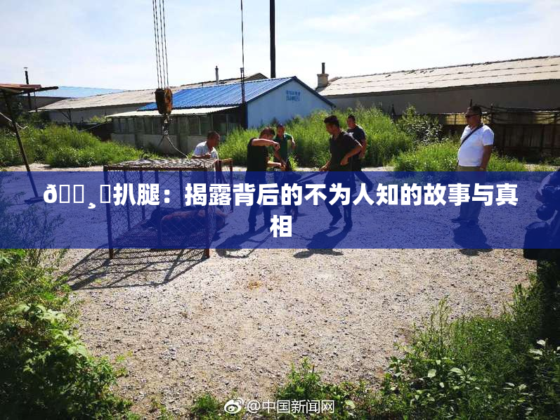 🌸‌扒腿：揭露背后的不为人知的故事与真相