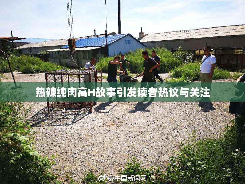 热辣纯肉高H故事引发读者热议与关注