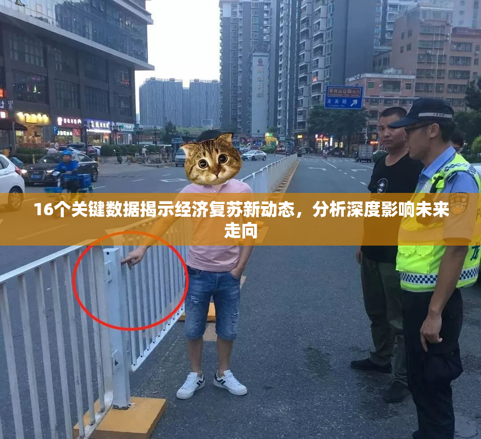 16个关键数据揭示经济复苏新动态，分析深度影响未来走向