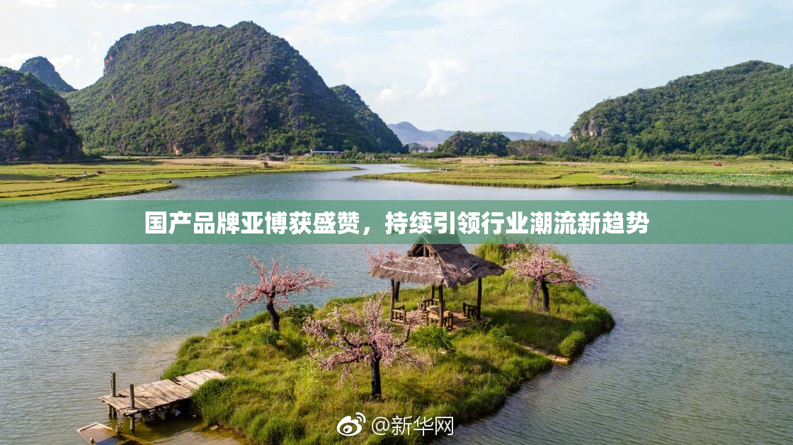 国产品牌亚博获盛赞，持续引领行业潮流新趋势