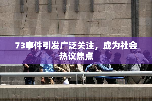 73事件引发广泛关注，成为社会热议焦点