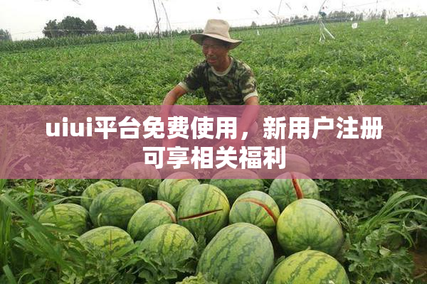 uiui平台免费使用，新用户注册可享相关福利