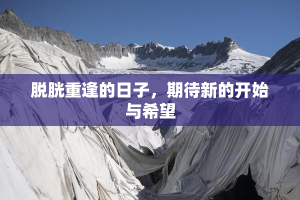 脱胱重逢的日子，期待新的开始与希望