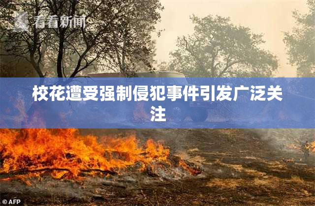 校花遭受强制侵犯事件引发广泛关注