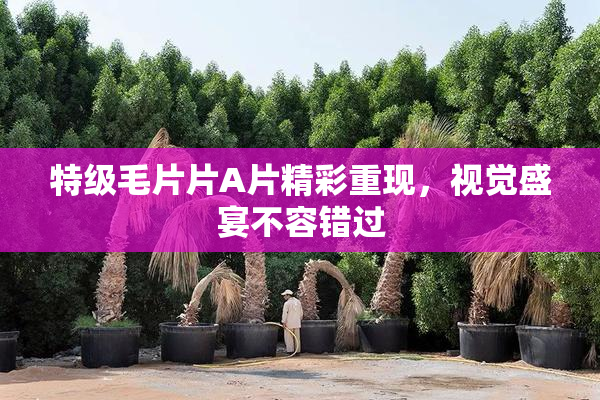 特级毛片片A片精彩重现，视觉盛宴不容错过