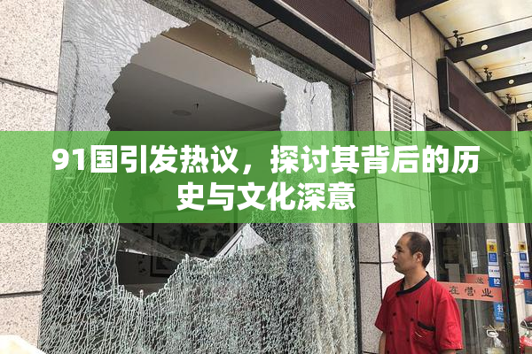 91国引发热议，探讨其背后的历史与文化深意