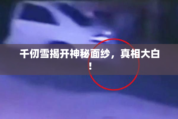 千仞雪揭开神秘面纱，真相大白！