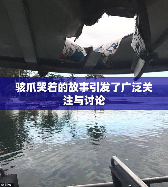 骇爪哭着的故事引发了广泛关注与讨论